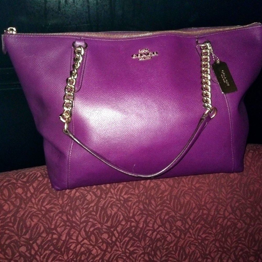 Brand New COACH PURSE